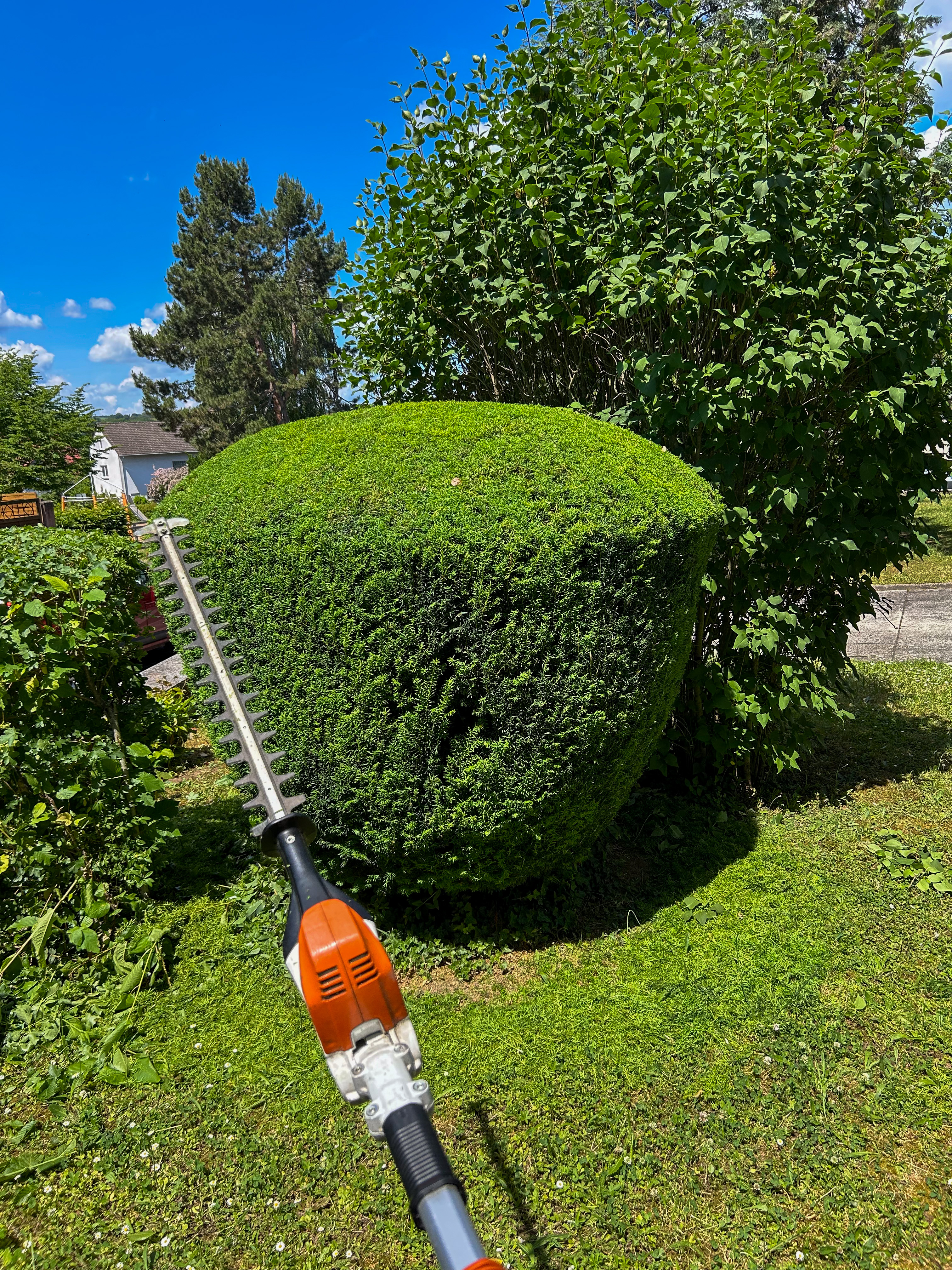 Gartenpflege – Referenzen - Bild 1