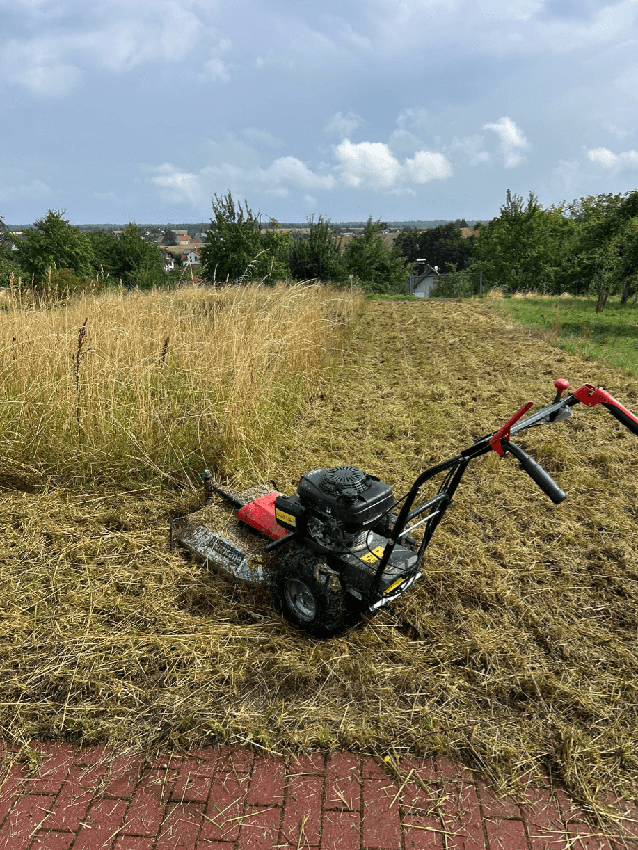 Gartenpflege – Referenzen - Bild 11