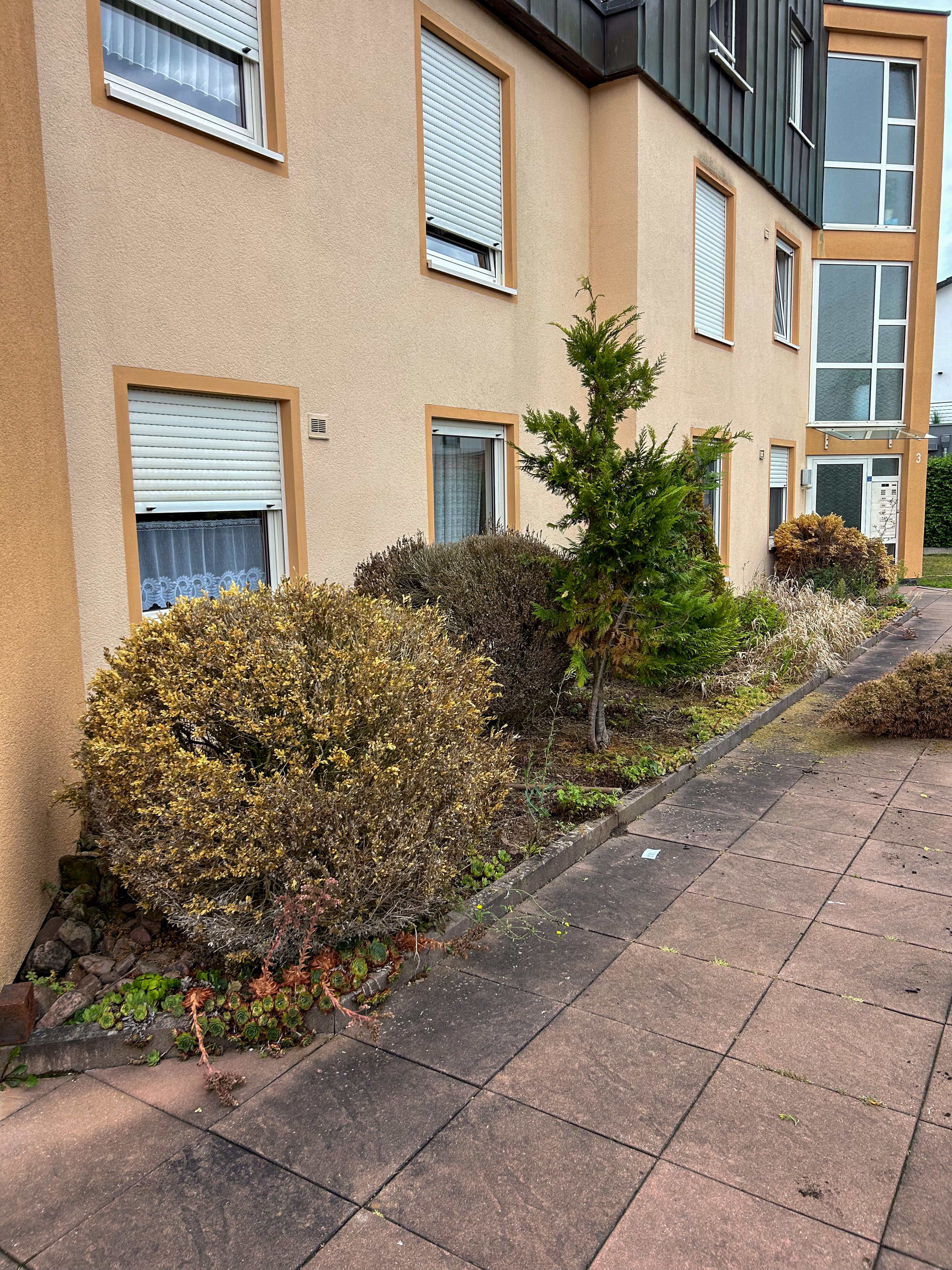 Gartenpflege – Referenzen - Bild 8